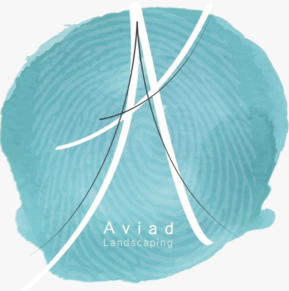 Aviad Amar